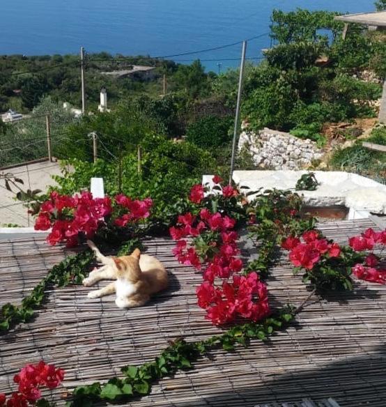 Stefanel View-Frederika Villa Himare Luaran gambar